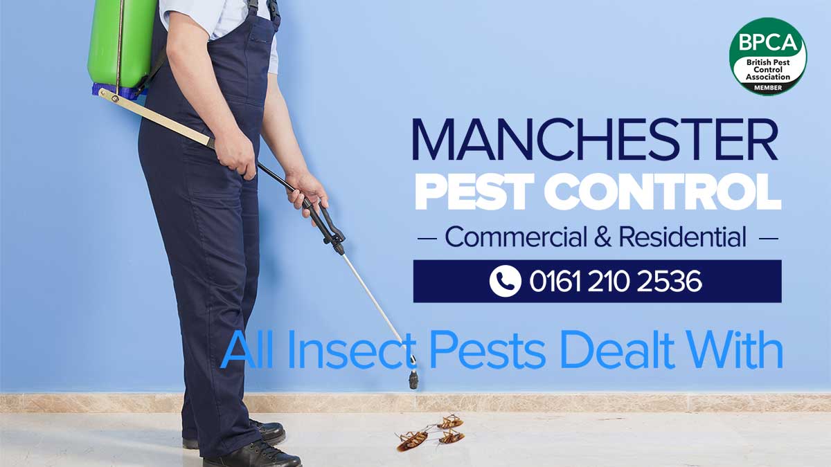 Pest Control Manchester